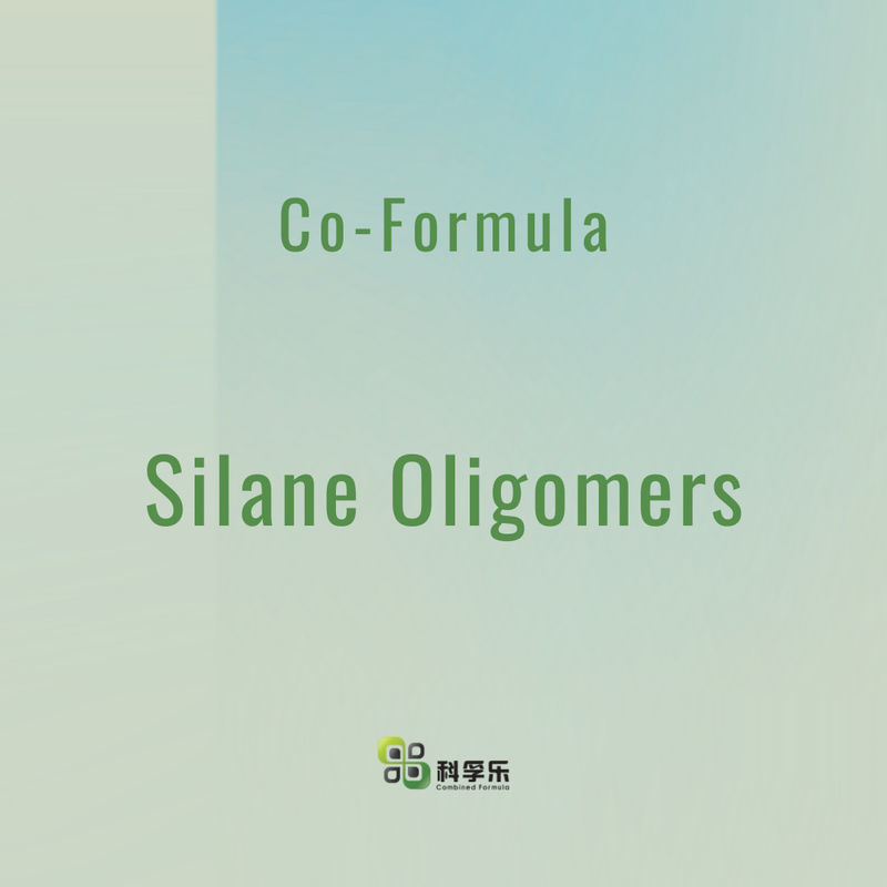 Paints And Coatings Organic Silicones Functional Silanes In Water Solutions